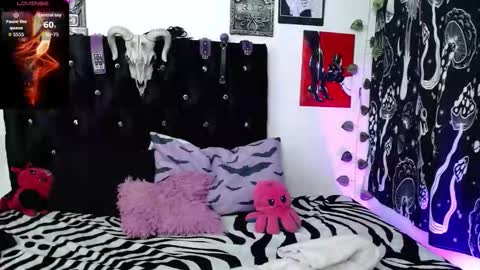 mayaredd online show from November 2025 11:48:01 PM