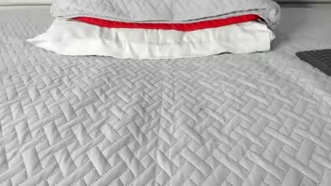 Maybelline69 online show from March 2026 08:09:02 AM