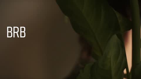 Mary  . online show from December 2024 08:58:02 AM