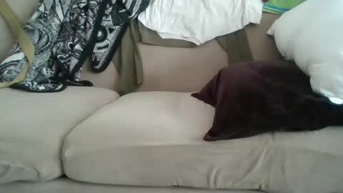 yung n hung online show from February 2025 08:42:02 PM