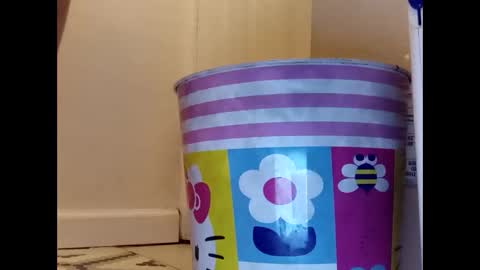 meaderd740870 online show from January 2025 04:19:02 AM