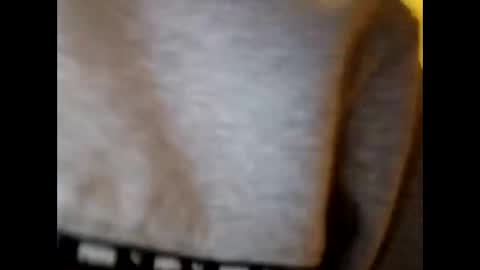 meateater7455 online show from April 2026 05:16:02 AM