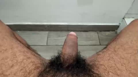 med109_1 online show from March 2025 05:00:02 PM