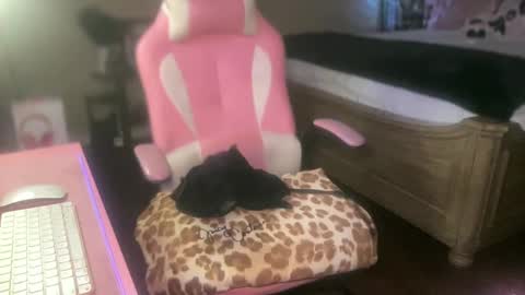 Southern Peach online show from September 2025 04:17:02 AM