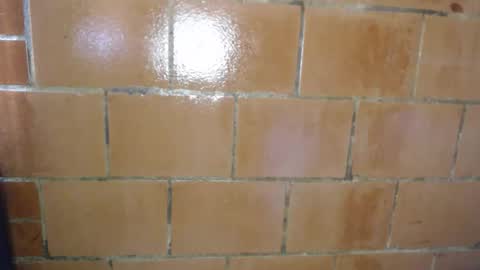 Megan and sophi online show from April 2026 08:25:02 PM