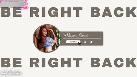 Snapshot of megan_inked_ chatting on October 2025 02:20:01 AM online show from October 2025 02:20:01 AM