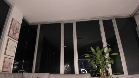 Mara online show from January 2025 10:42:01 AM