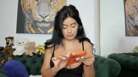 Snapshot of megpalmer chatting on May 2026 07:43:01 PM megpalmer online show from May 2026 07:43:01 PM