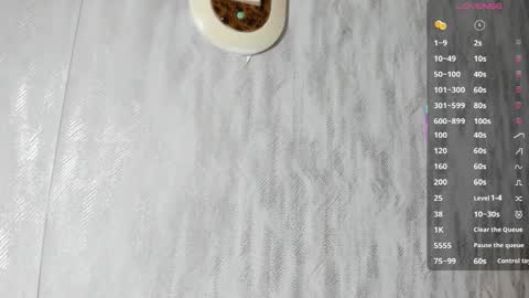        online show from January 2026 01:17:02 PM