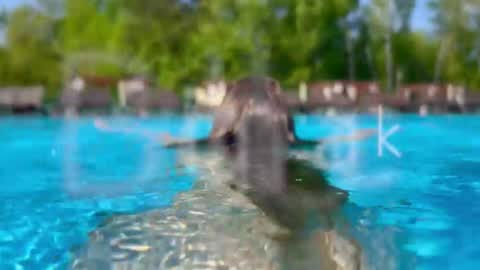 Adel online show from January 2026 07:08:02 PM