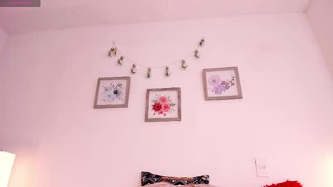 Snapshot of mely_rosee chatting on April 2026 12:09:02 PM online show from April 2026 12:09:02 PM