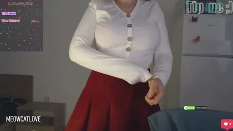 Snapshot of meowcatlove chatting on December 2024 09:26:01 PM meowcatlove online show from December 2024 09:26:01 PM