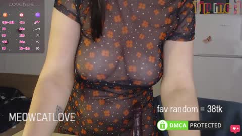 Snapshot of meowcatlove chatting on January 2025 11:08:01 PM meowcatlove online show from January 2025 11:08:01 PM