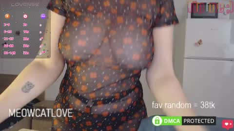 Snapshot of meowcatlove chatting on January 2025 06:31:01 PM meowcatlove online show from January 2025 06:31:01 PM