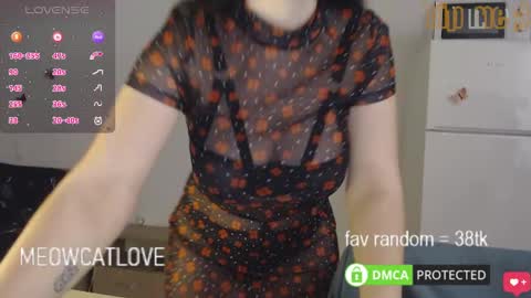 Snapshot of meowcatlove chatting on January 2025 08:14:02 PM meowcatlove online show from January 2025 08:14:02 PM