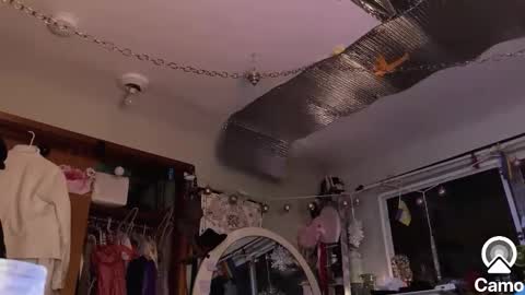 gurlnips online show from January 2025 02:06:01 AM