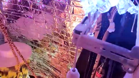 gurlnips online show from February 2025 09:56:01 AM