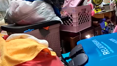 gurlnips online show from February 2025 07:09:01 AM