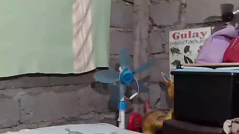 Snapshot of merietiny chatting on January 2025 05:59:02 AM merietiny online show from January 2025 05:59:02 AM