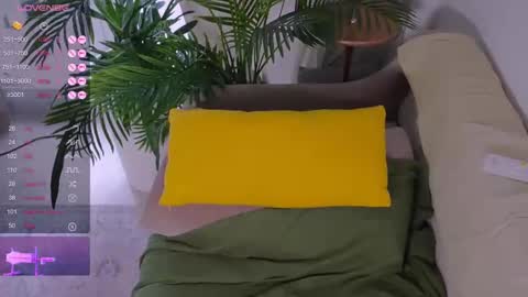 Stella online show from October 2025 12:15:01 PM