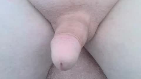 Wade online show from October 2025 02:06:01 PM