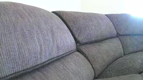 mexianthehawk online show from January 2026 09:29:01 PM