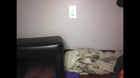 Snapshot of mi45419 chatting on November 2025 07:05:01 PM mi45419 online show from November 2025 07:05:01 PM