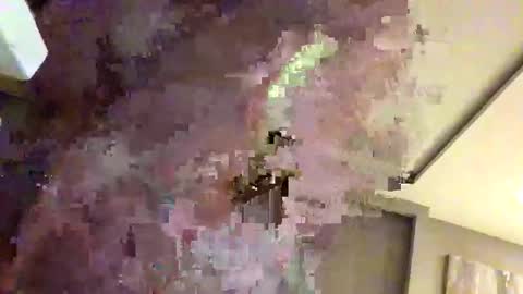 Snapshot of mi45419 chatting on February 2026 03:29:02 AM mi45419 online show from February 2026 03:29:02 AM