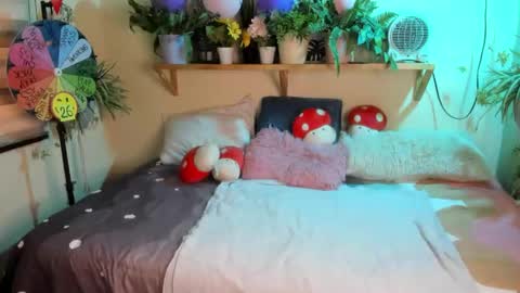 Miaa online show from February 2026 06:24:02 PM