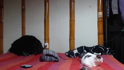 Mia  Sam online show from March 2026 10:18:01 PM