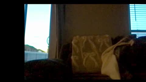 michaelt483 online show from February 2026 11:06:01 PM