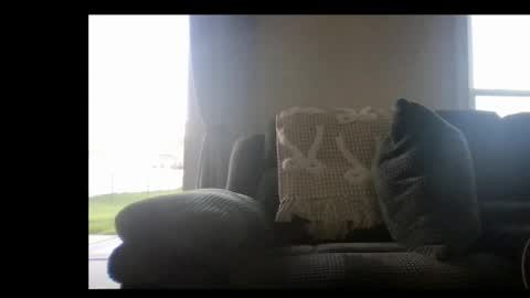 michaelt483 online show from April 2026 11:29:02 PM