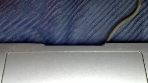 midiin online show from December 2024 06:00:02 PM