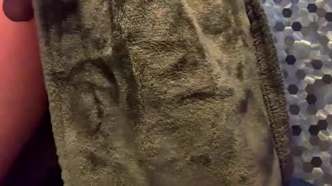 MiguelBlu2 online show from February 2026 03:54:01 AM