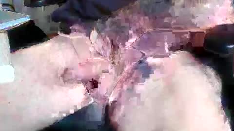 mikefun4711 online show from October 2025 08:29:02 AM