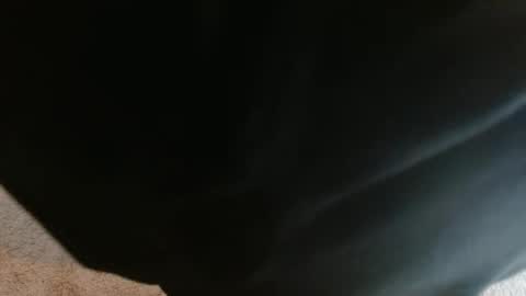 Snapshot of mikehey1 chatting on October 2025 03:51:02 PM mikehey1 online show from October 2025 03:51:02 PM