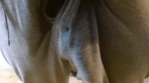 Snapshot of mikehey1 chatting on November 2025 08:55:01 PM mikehey1 online show from November 2025 08:55:01 PM