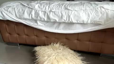 Snapshot of mikel030 chatting on March 2026 01:40:02 PM djfuckoff online show from March 2026 01:40:02 PM