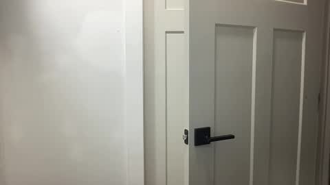 HungCollege online show from November 2025 03:34:01 AM