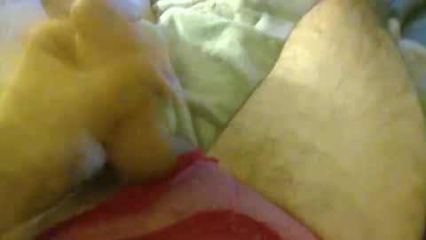 Snapshot of milkncookies8 chatting on October 2025 05:59:02 AM milkncookies8 online show from October 2025 05:59:02 AM