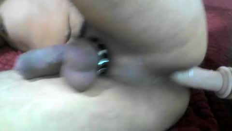milowolf69 online show from July 2026 01:01:02 AM
