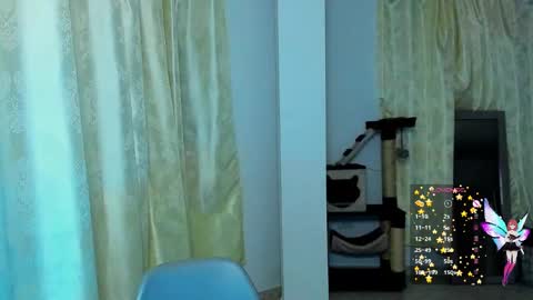 Amber online show from December 2024 06:41:01 AM