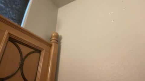 Minx online show from February 2026 02:22:02 PM