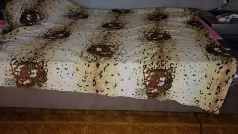 Happy New Year  online show from November 2025 12:37:02 PM