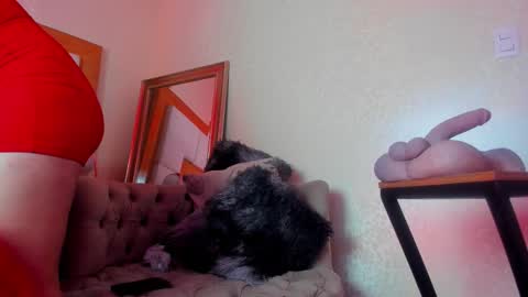 Miranda online show from December 2025 01:38:01 PM