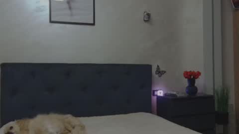 miriam04 online show from December 2025 10:29:02 PM