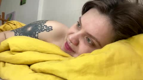 Sai online show from February 2026 11:42:01 AM