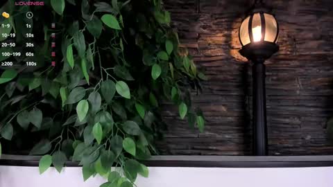 Danika online show from February 2025 11:01:02 AM