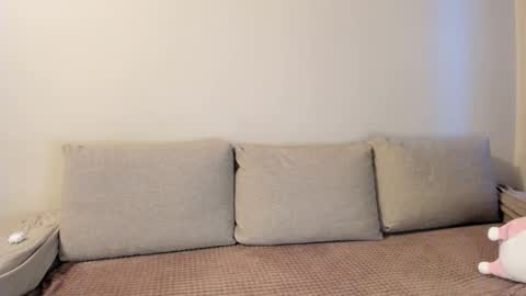 Kitty online show from January 2026 02:17:02 AM