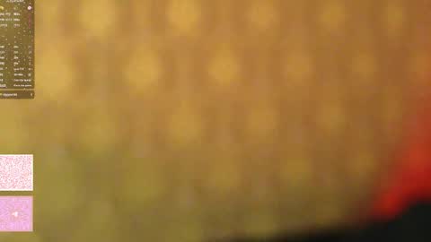 Morgan next stream tomorrow 0000 poland time online show from January 2026 10:45:01 PM